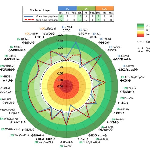 Bio-well Scan