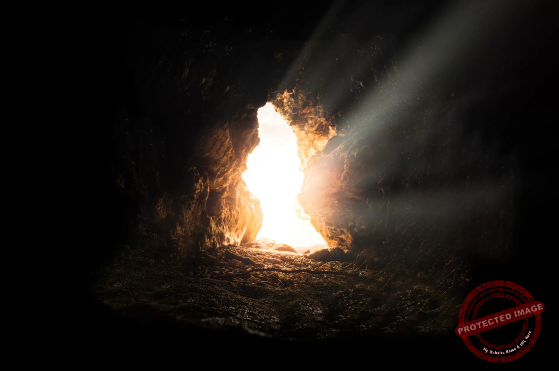 bruno-van-der-kraan-v2hgnzrdfii-unsplash - purpose passion and possibilities truth and want