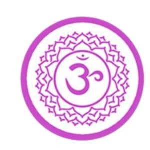 crown chakra - purpose passion and possibilities chrown chakra